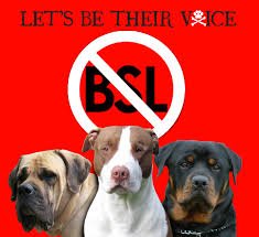 BSL.jpg