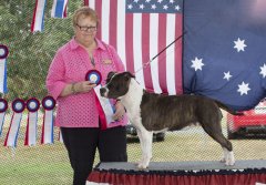 Amstaff290416_11.jpg