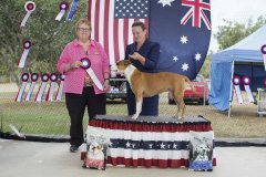 Amstaff290416_14.jpg