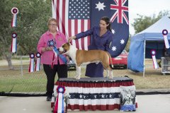 Amstaff290416_22.jpg