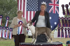 Amstaff300416Show2_14.jpg