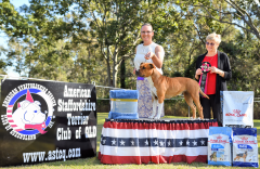 Limit In Show - Amdea Royal Obsession JC