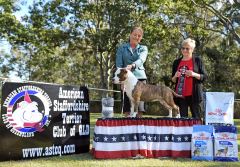 Opposite Sex Australian Bred In Show - Ch. Rizenstar A Devil Of My Word