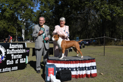 AUST BRED IN SHOW - GRAND CH. NIKAR DEEDS NEVER DONE (AI)